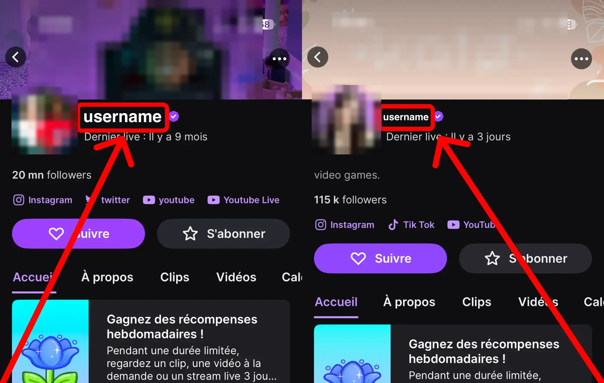 Acheter des vues vidéo Twitch : tutoriel en captures d'écran – où trouver ton nom d'utilisateur ou le lien de ton profil Twitch